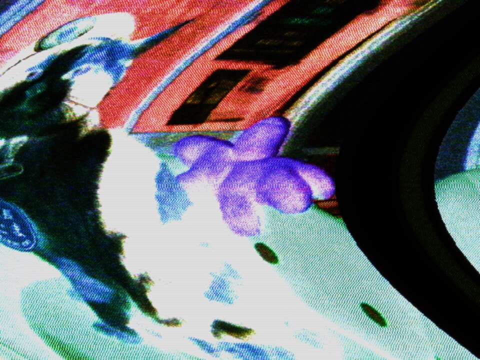 Reversed polarity: every hue complementary, the raster sheared