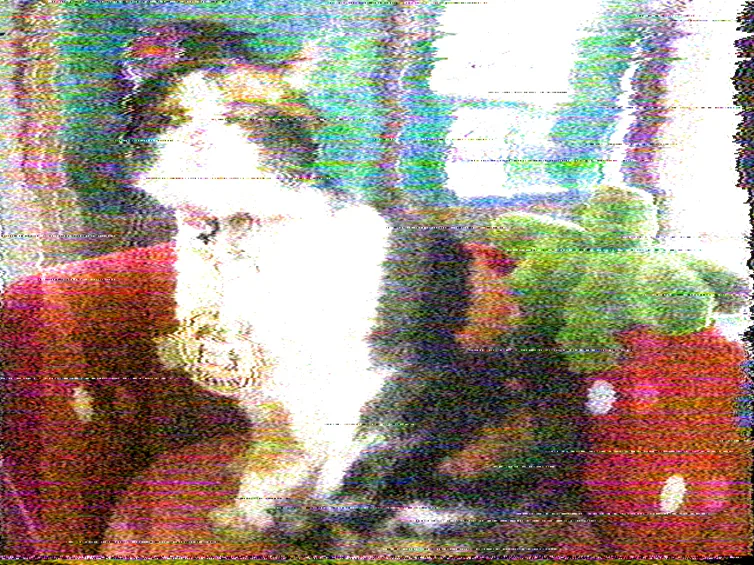 A cat photographed and dubbed to tape: heavy coloured speckle over the whole frame, colour smearing sideways off every edge, and short bright dropout dashes across the picture